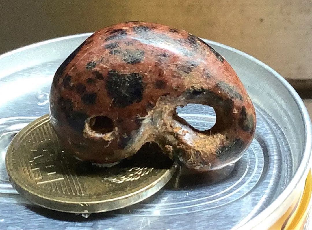 ✳時代鑑定済み鉄鏃と一緒に発掘 ✳古墳期超希少【さる