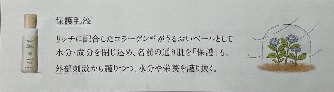 ドモホルンリンクル3点セット