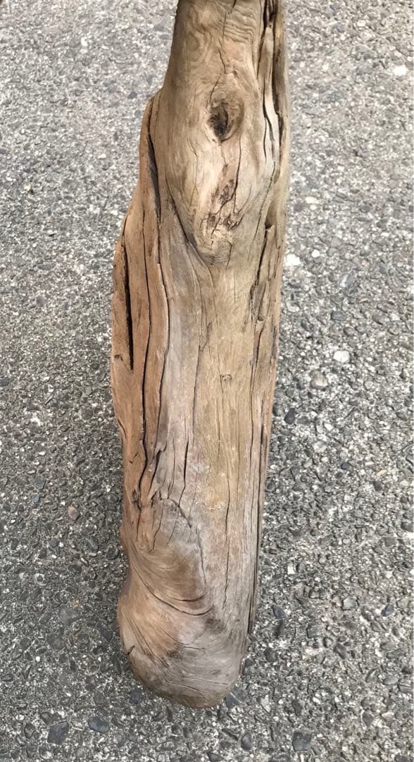 30年前に拾って乾燥させてあった流木 30年前に