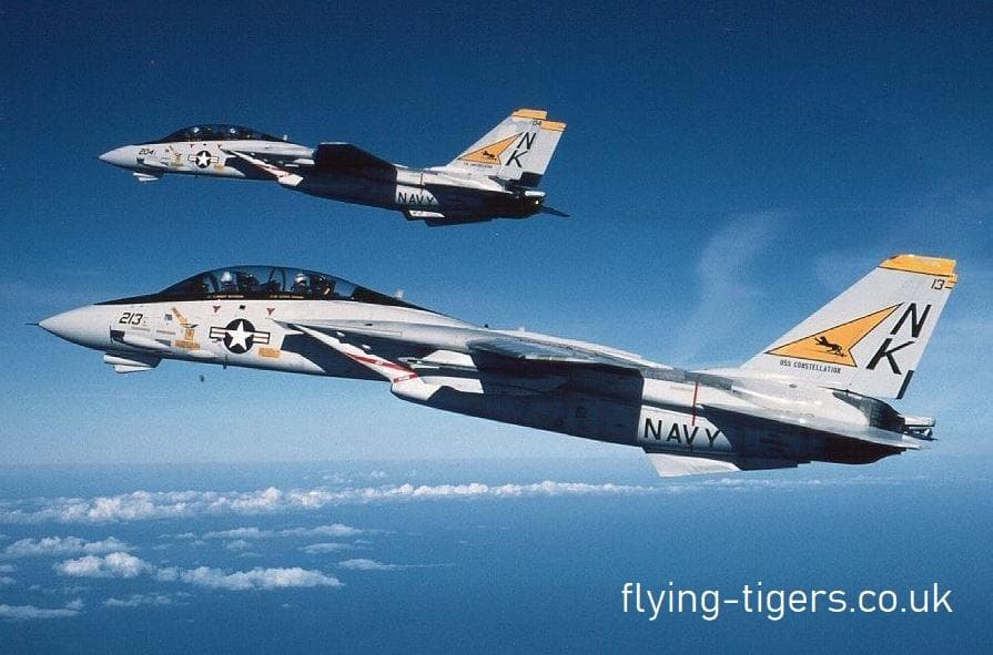 Century Wings F-14 VF-21 フリーランサーズ 1/72 - メルカリ