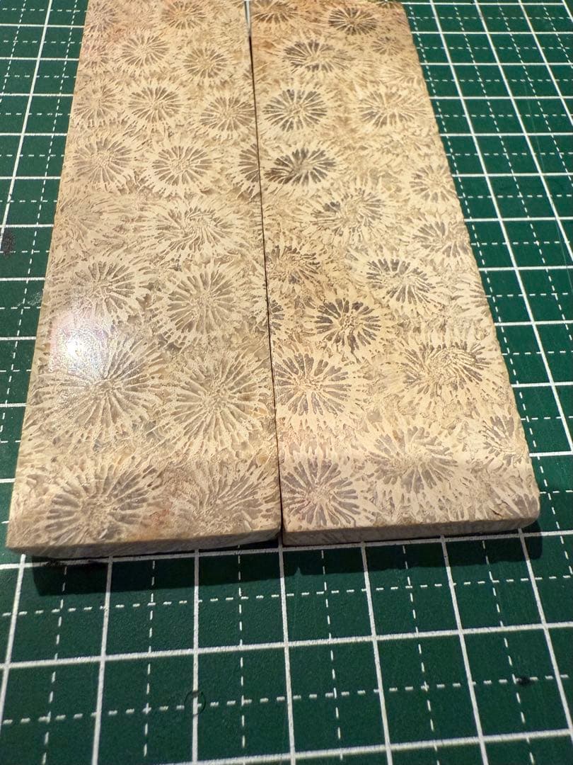 カスタムナイフハンドル材　フォッシルコーラル化石珊瑚