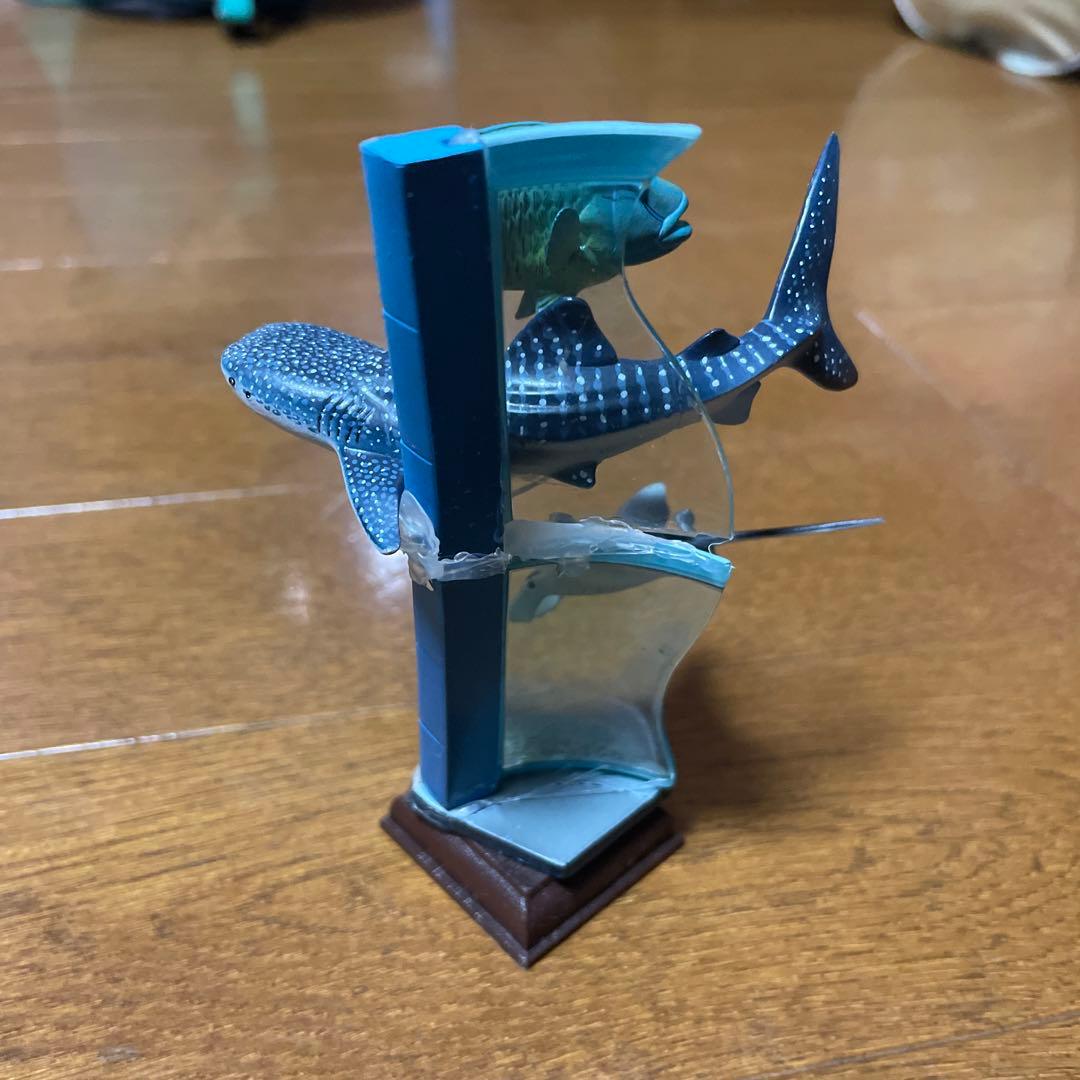 【海遊館限定】　海遊館ガチャガチャ　オニイトマキエイ　アオウミガメ