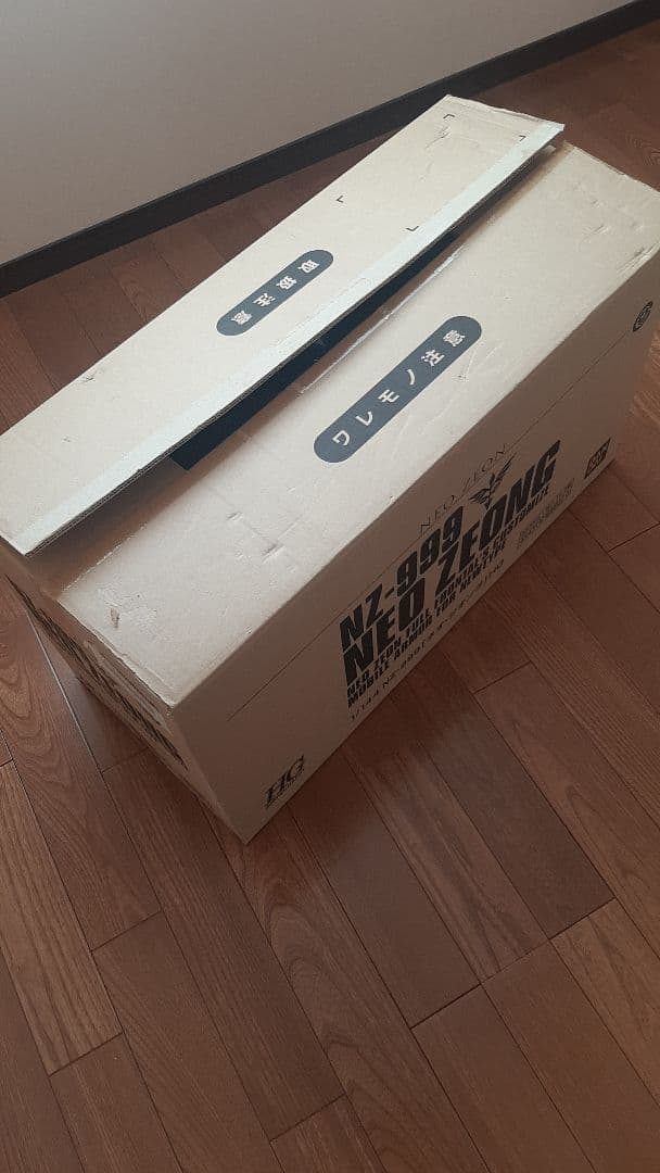 HG NZ-999 ネオジオング