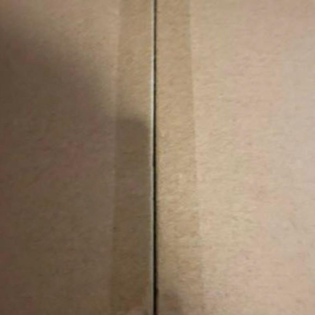 【新品】エレキギター 初心者入門セット STタイプ