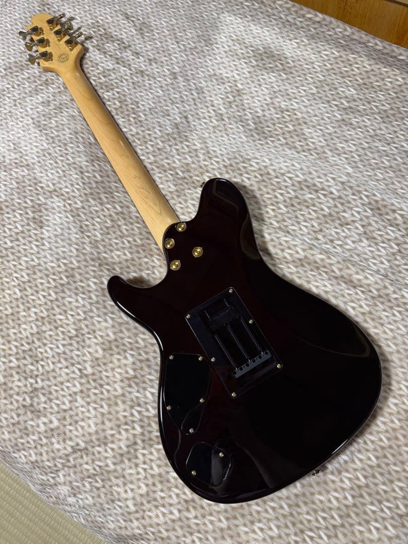 Sugi DH496IR BM-PRM/HM/ALD2P 紅葉