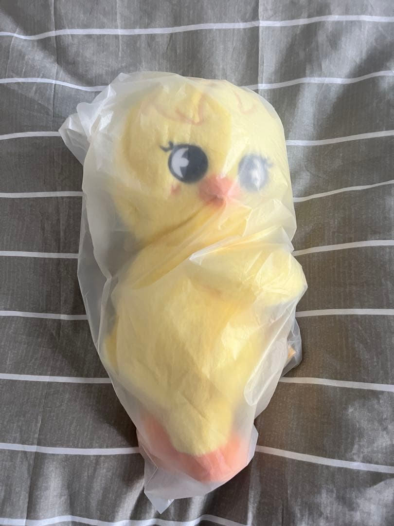 Straykids POPUPcelebrATE SKZOO BAG ポガリ｜STRAY KIDS Felix