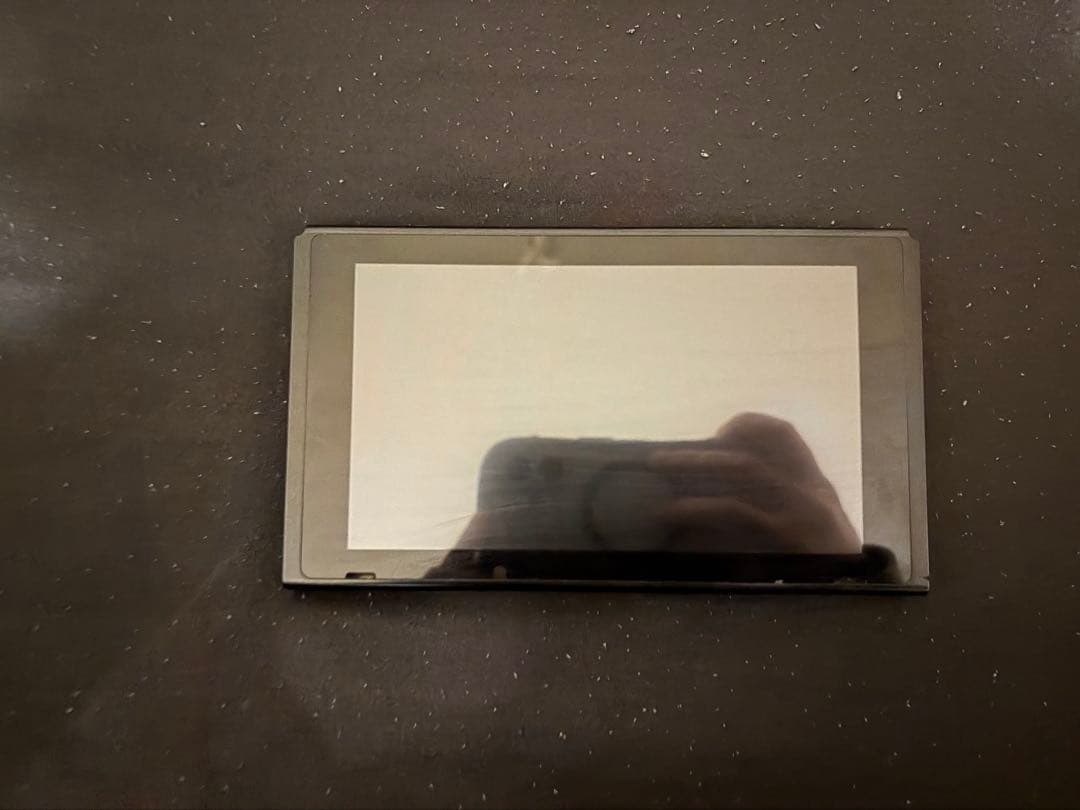 Nintendo Switch 本体 ジャンク使用可