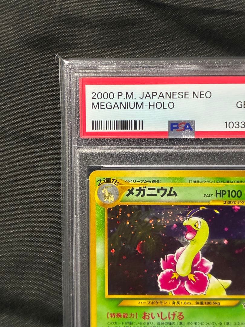 PSA10 メガニウム meganium 旧裏 2000 154 20