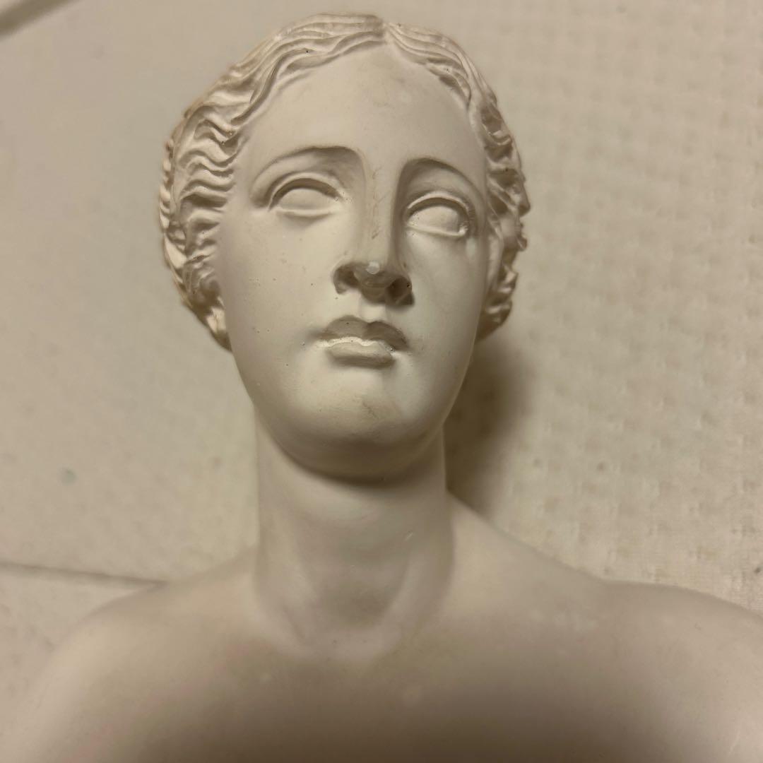 mobb様専用】ミロのヴィーナス 彫刻 デッサン オブジェ 68cm - メルカリ