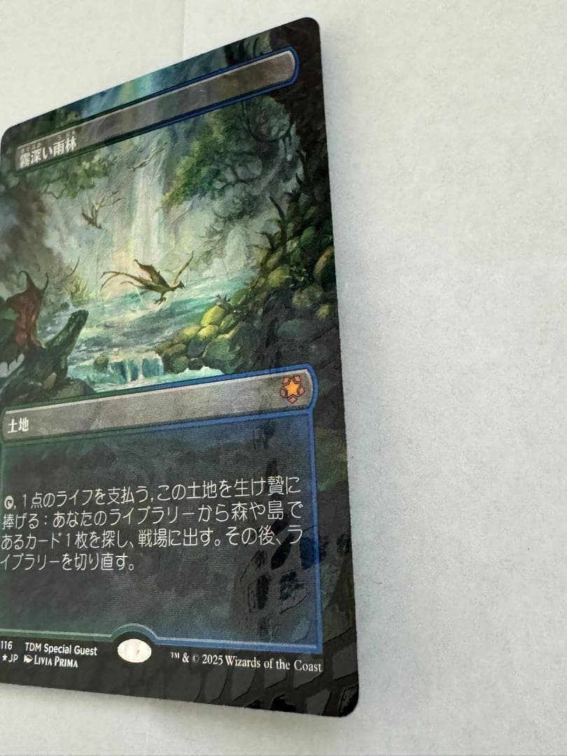 MTG 霧深い雨林/Misty Rainforest ドラゴンスケイルFoil