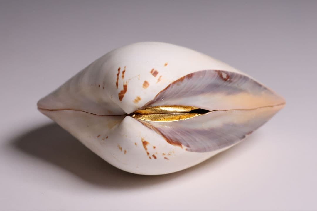 貝合せ 池坊専好立花図 四十五世 池坊専永 箱書 香合 華道