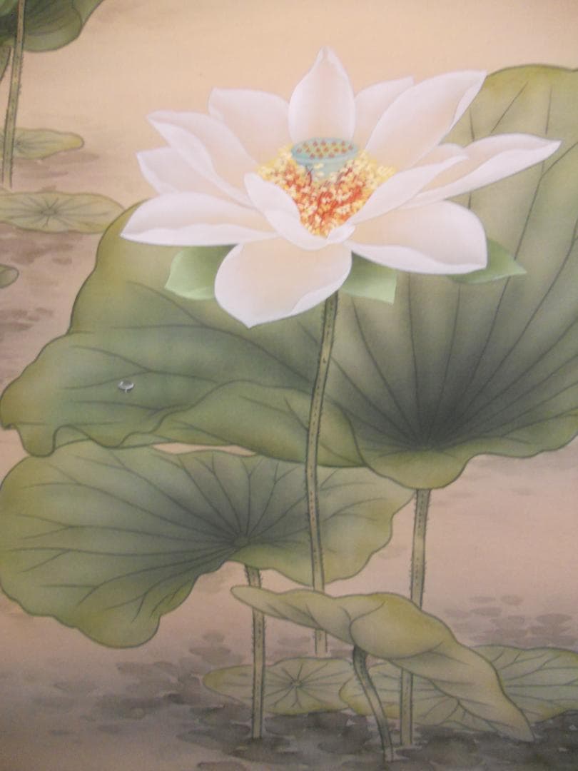 掛け軸 佐々木涼風 『 白蓮華 』 絹本 希少 軸装 茶道具 掛軸 美品 です。