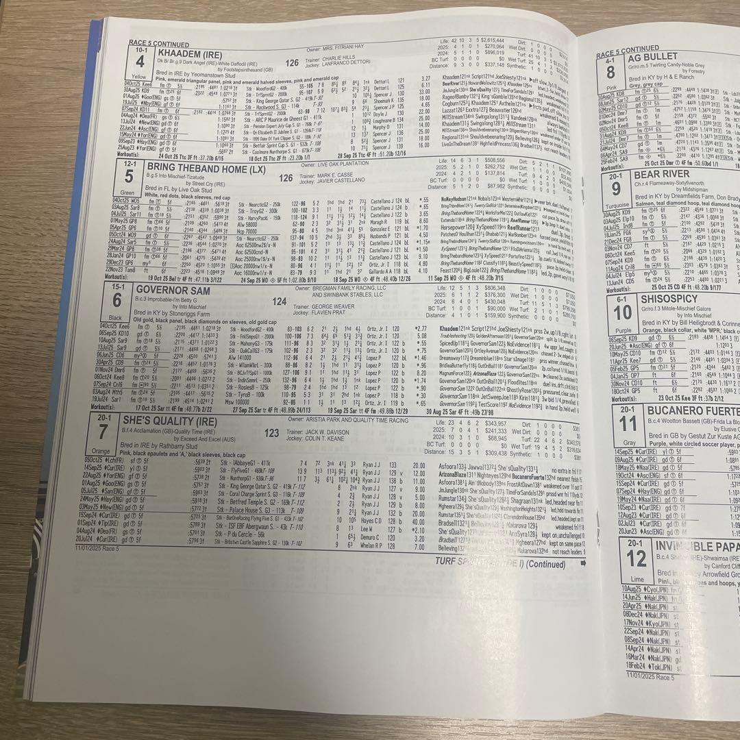 2025年　BCカップ 競馬公式プログラム　パンフレット