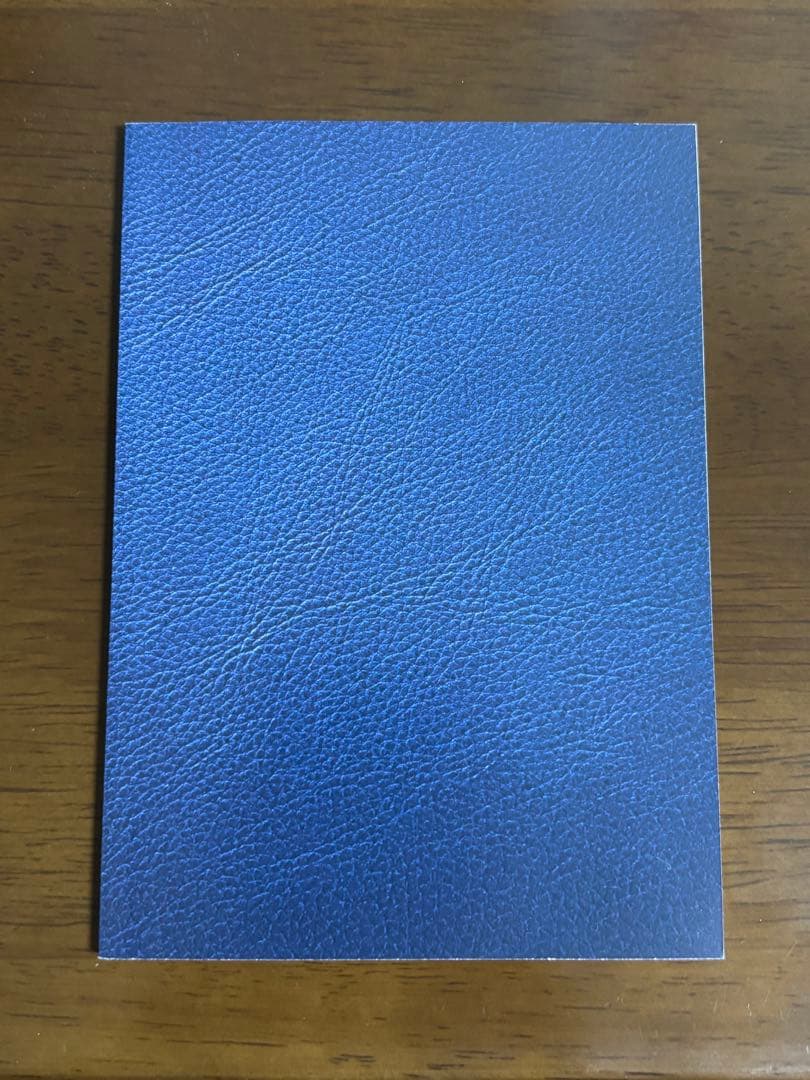 瀬戸口廉也 田淵さん