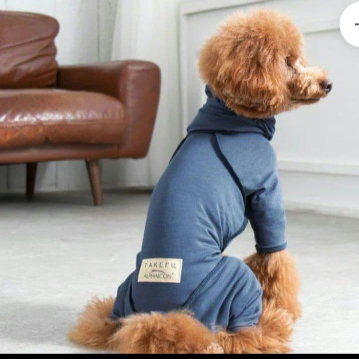 ALPHAICON アルファアイコン TAKEFU タケフドッグウェア ML - メルカリ