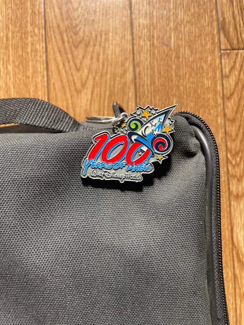 ウォルトディズニー　100 Years of Magic ピンバッジバックWDW
