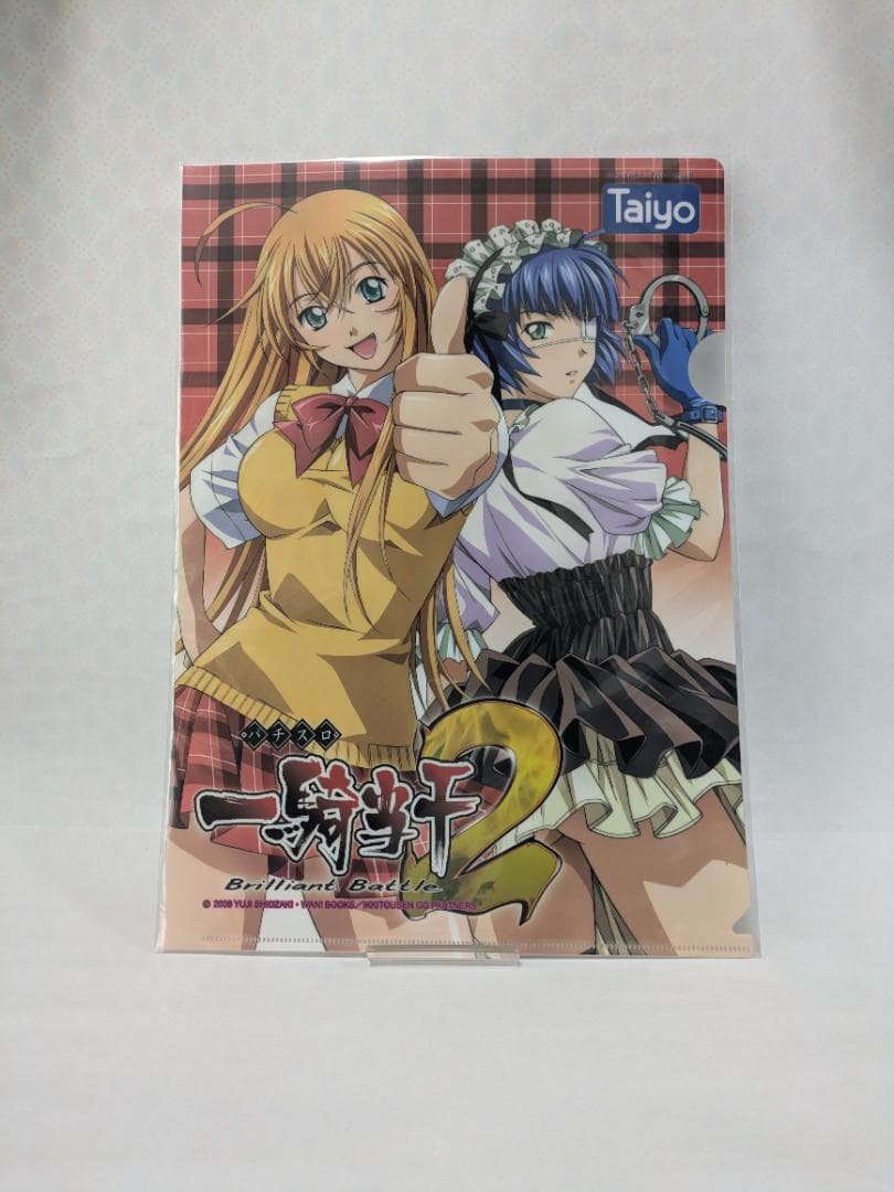 一騎当千】クリアファイル 10種セット【非売品】