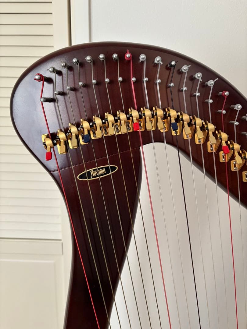 青山ハープ 34弦 130DB 弦楽器