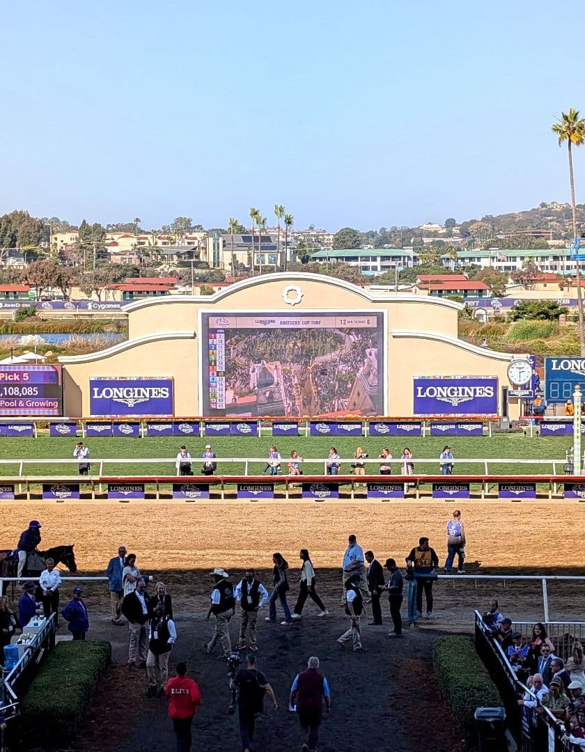 フォーエバーヤング BCクラシック2025 現地単勝馬券 レーシング