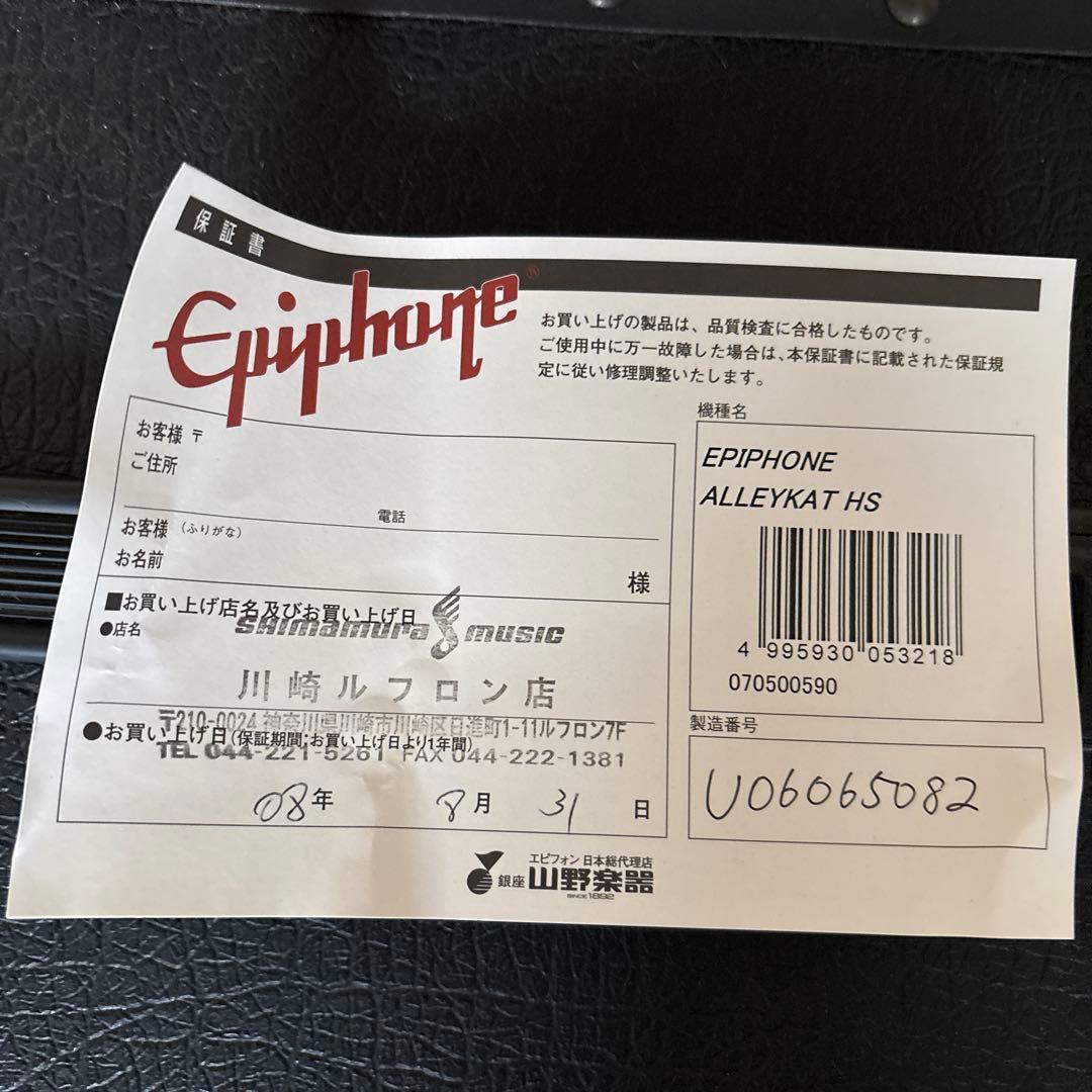 エピフォン　セミアコ　アレイキャット HS ケース付