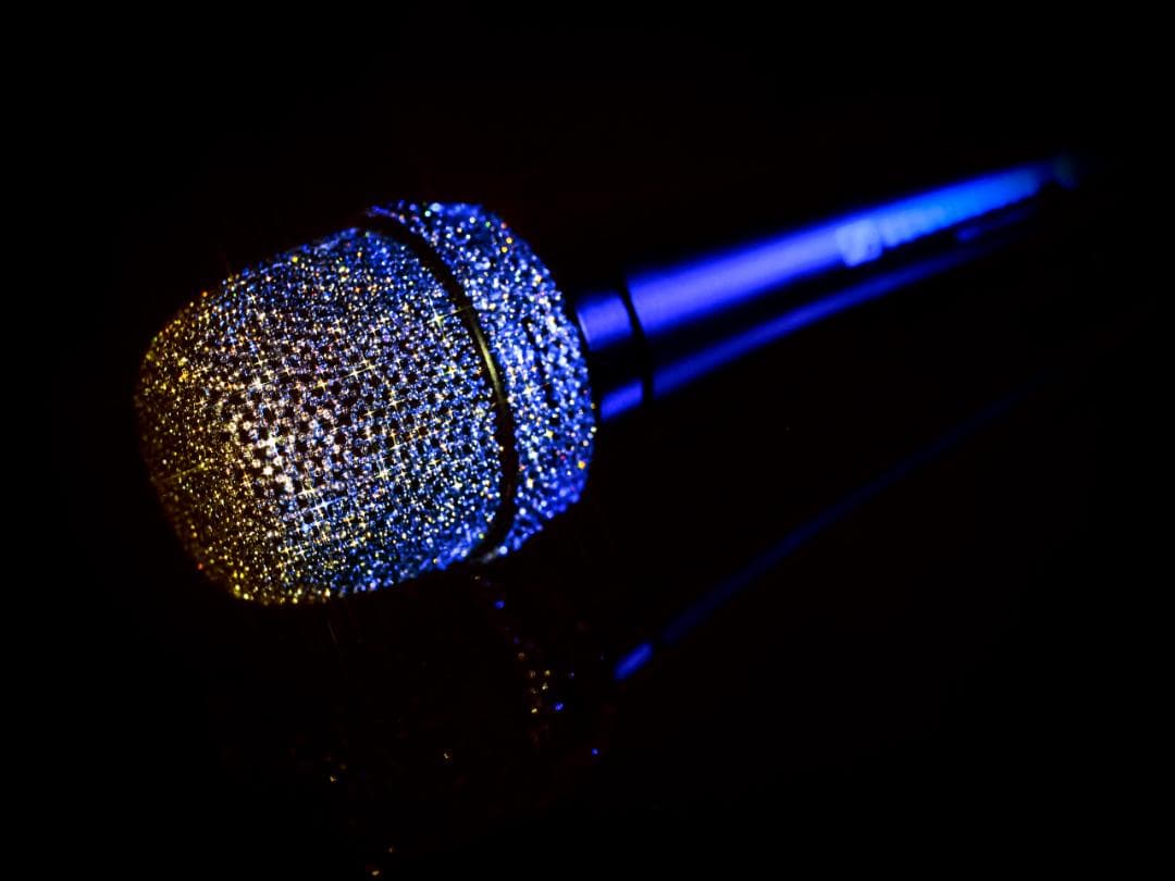 X'MAS SALE SENNHEISER e945 スワロフスキージルコニア