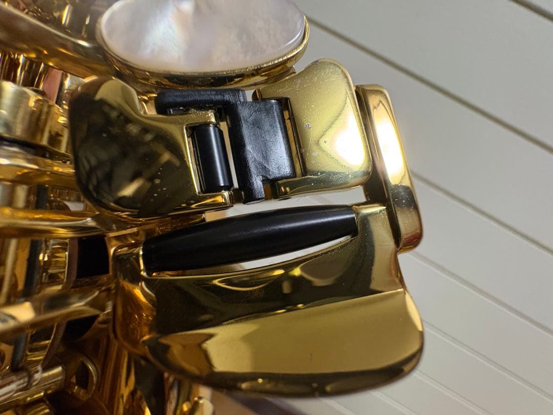 ヤナギサワアルトサツクスWO20 本体