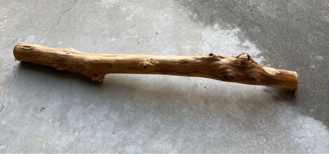 希少 樹齢150〜200年 杉枝 約126cm 鑑賞 庭 インテリア 骨董 華道