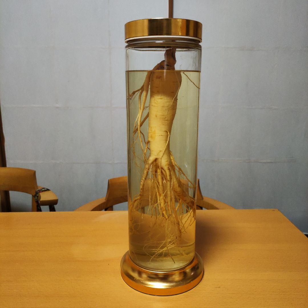 ☆高麗人参酒☆ 朝鮮人参酒 健康酒 薬酒 古酒 - メルカリ