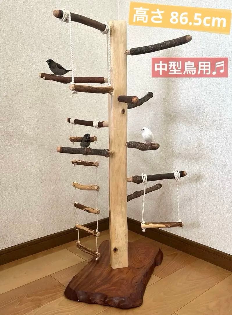 中型鳥用】螺旋状♬バードアスレチック - AACLICK.COM