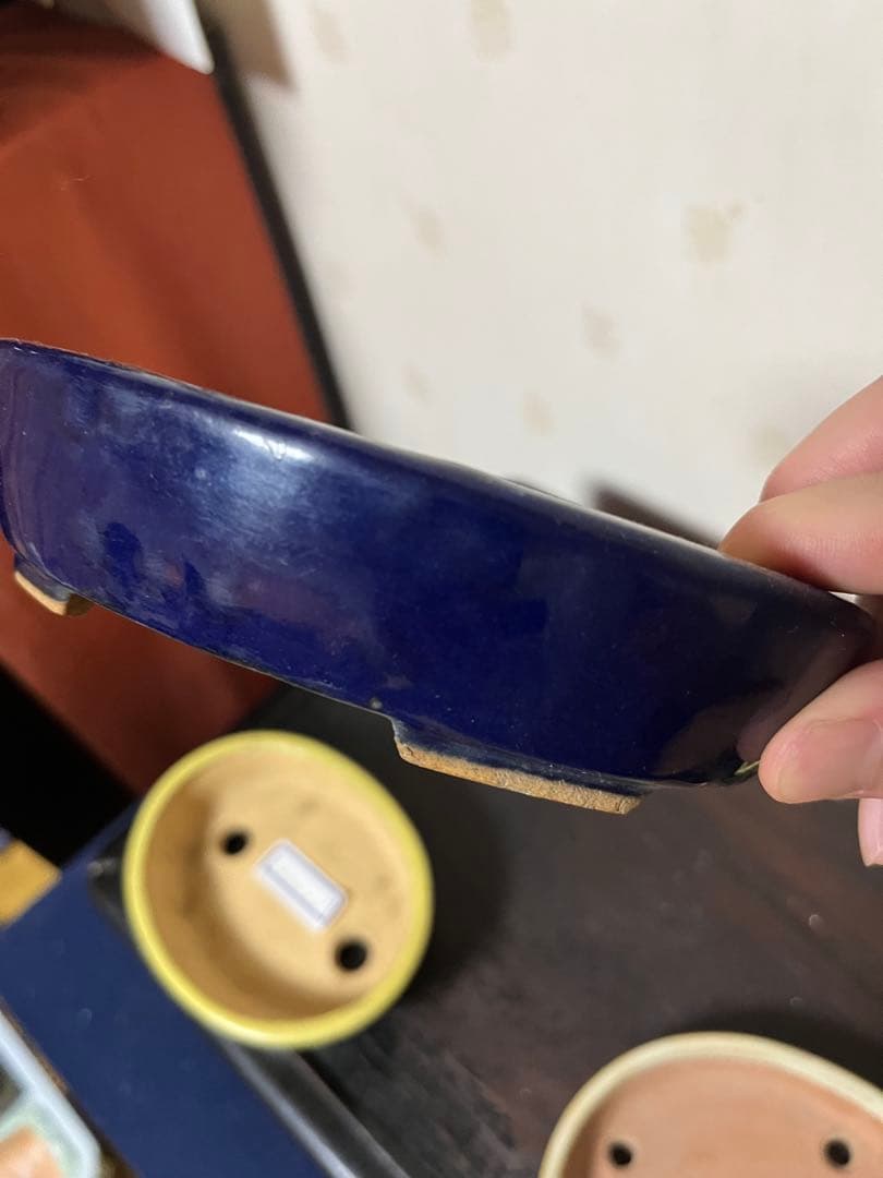 487 盆栽 盆栽鉢 植木鉢 和鉢 服部 山房 他