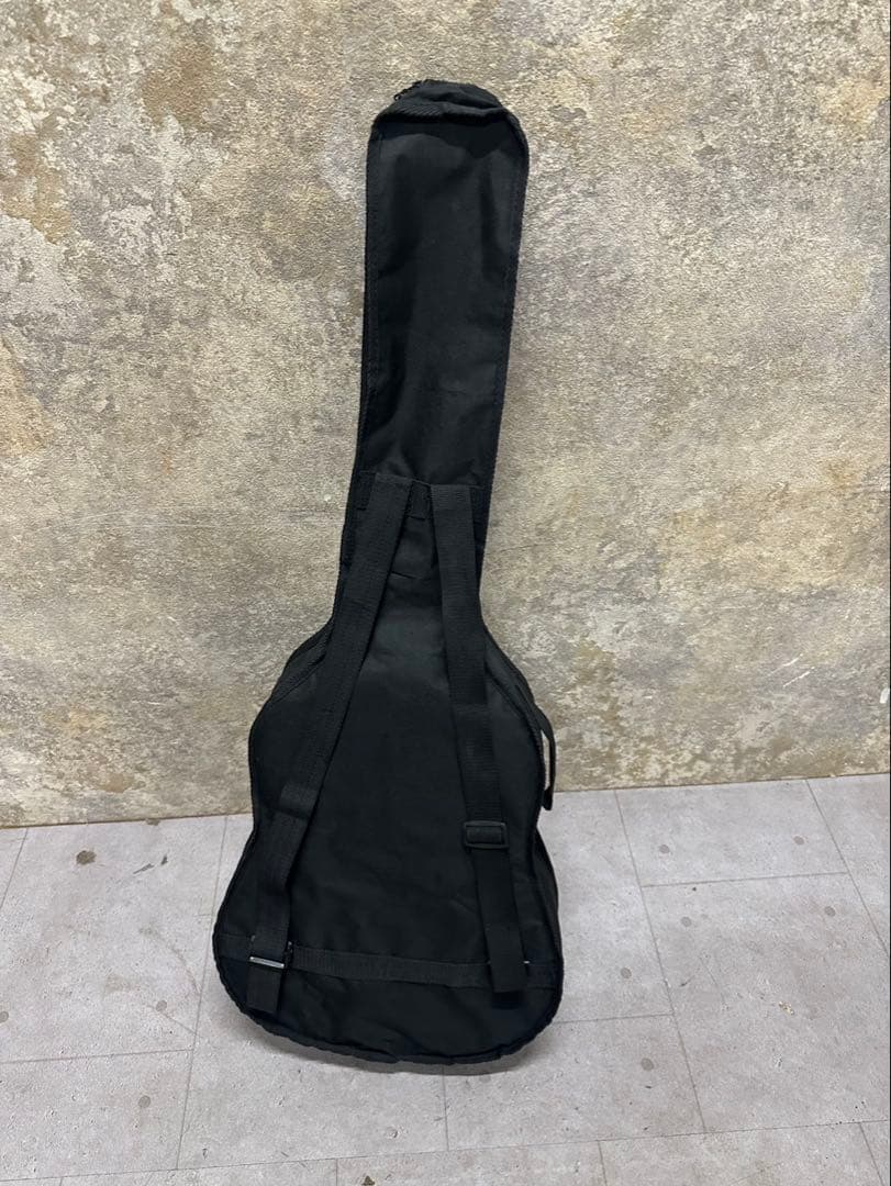 し*ん様 ⑯Legend by Aria FG-15CSアコースティックギターサ