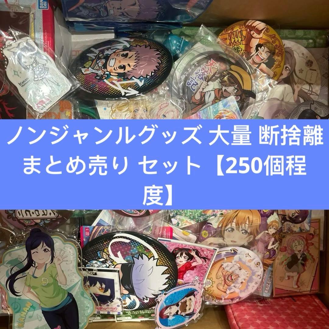 ノンジャンルグッズ 大量 断捨離 まとめ売り セット【250個程度