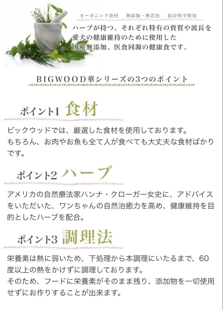 ふ～じこちゃん