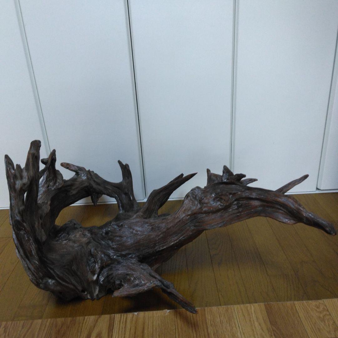 1379 木の根 切株 竜 龍 Dragon