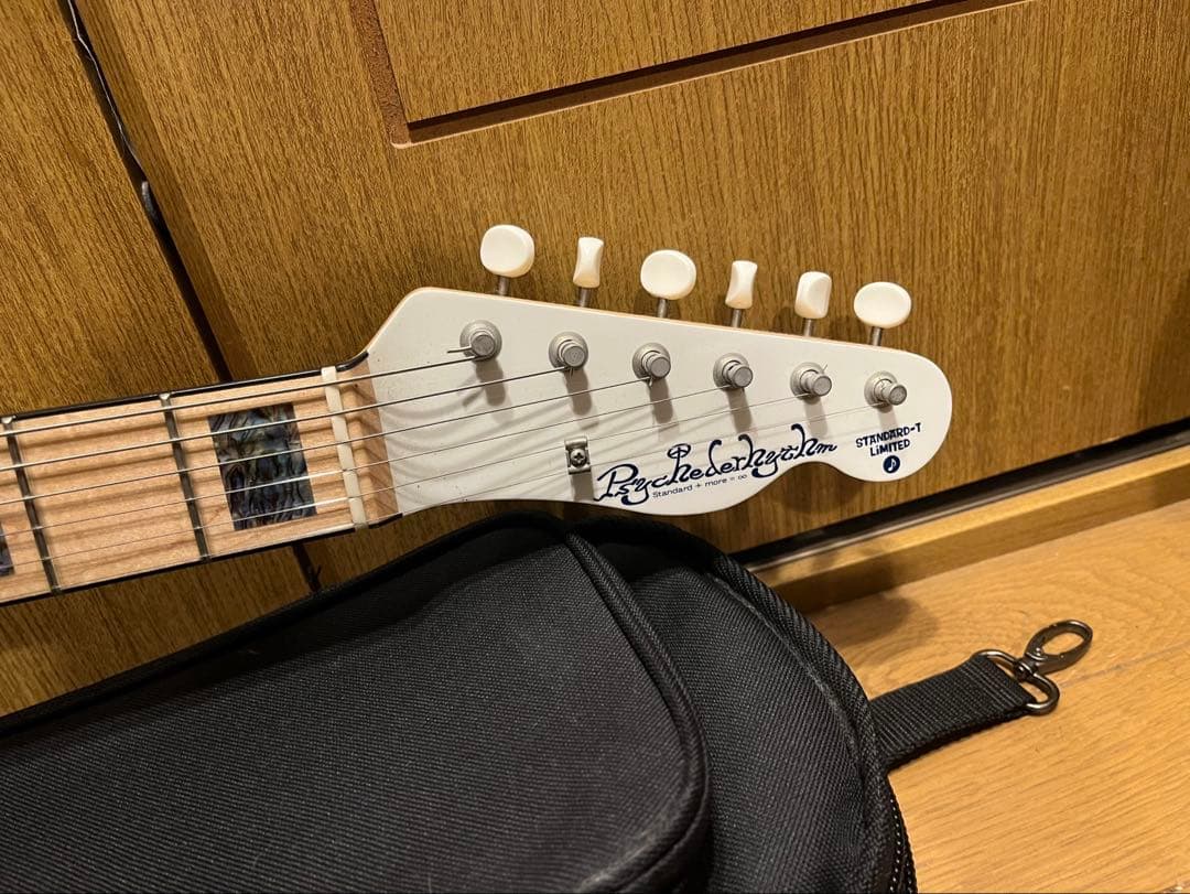 Epiphone Wildkat ハードケース&エボニー指板 Wildcat