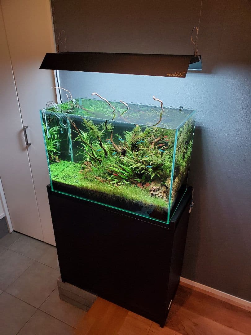 Chihiros WRGB2 60シェード、吊り下げ器具セット