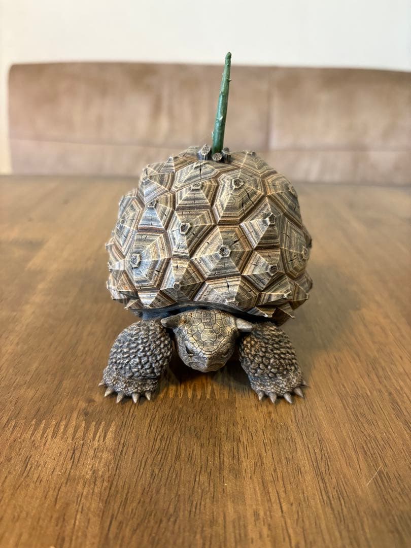 ozwrt Dioscorea Nasutoceratopsフィギュア