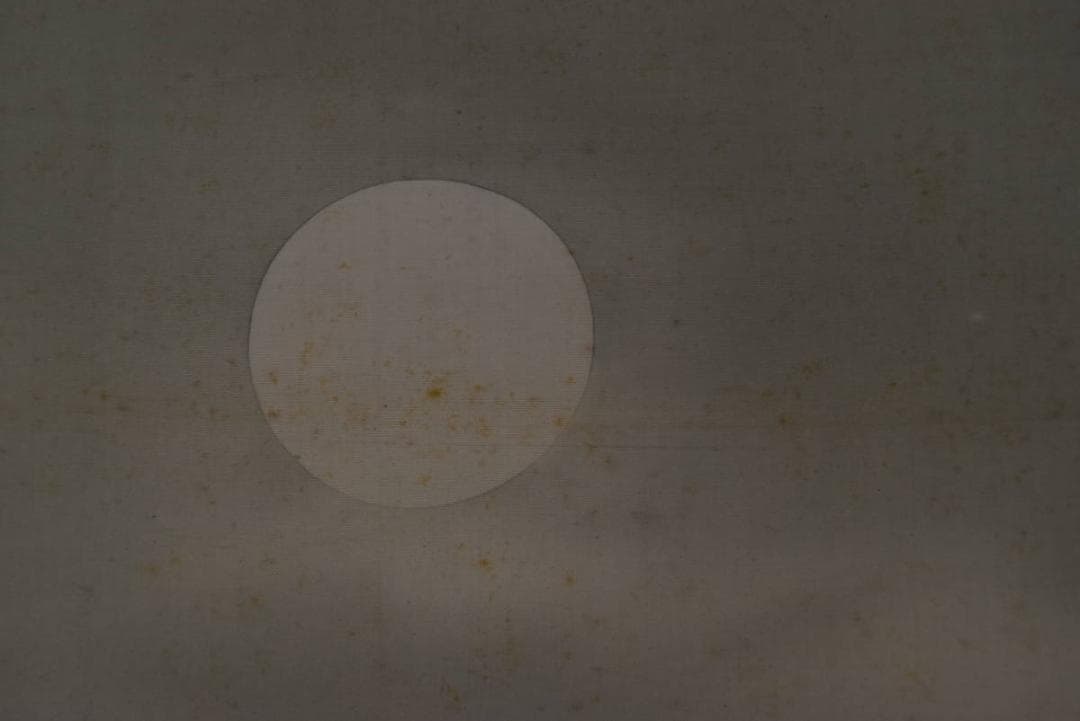 【真作】吉村鳳柳/月下雙狸図/掛軸☆宝船☆Z-906