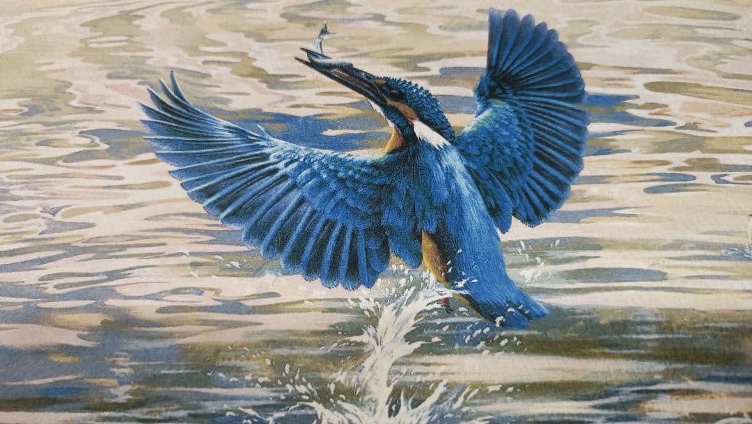 S.Okamoto カワセミハンティング 水彩画？ 版画？