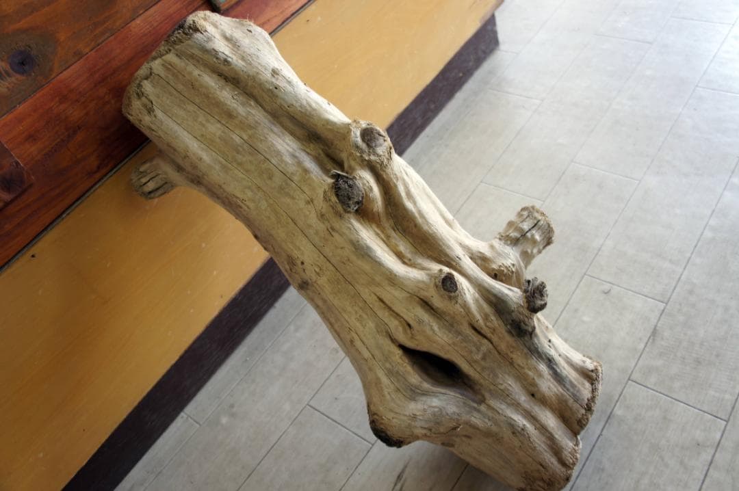 アクアテラリウム 水槽流木。水生植 物 水槽用流木 アクアリウム 盆栽