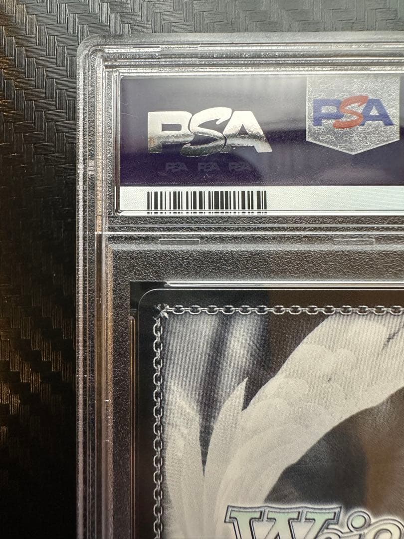 インプラカブル sp PSA10