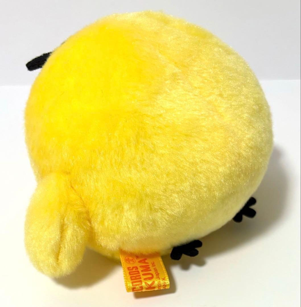 キイロイトリ　びっくりぬいぐるみ　TOWER RECORDS タワレコ　コラボ