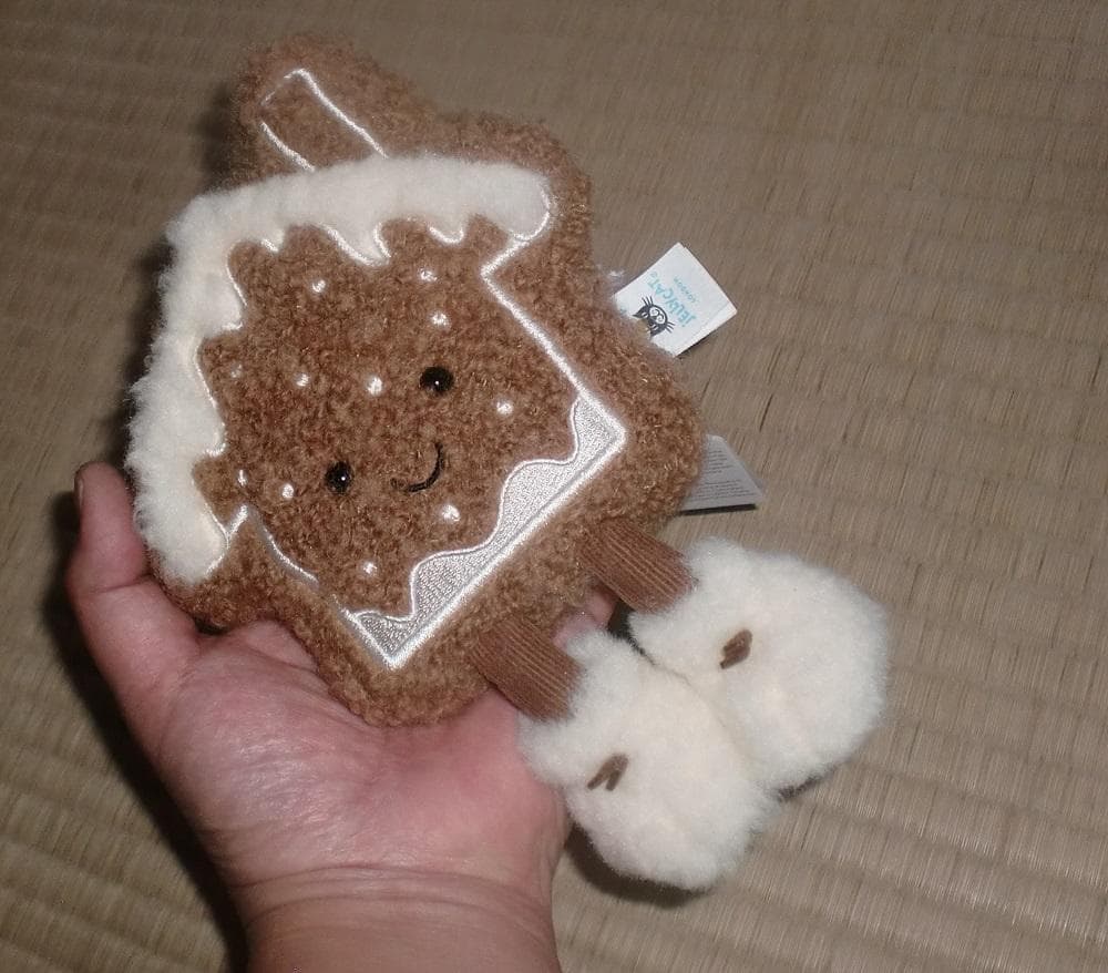  LA Ski Club限定　Molasiクッキーセット