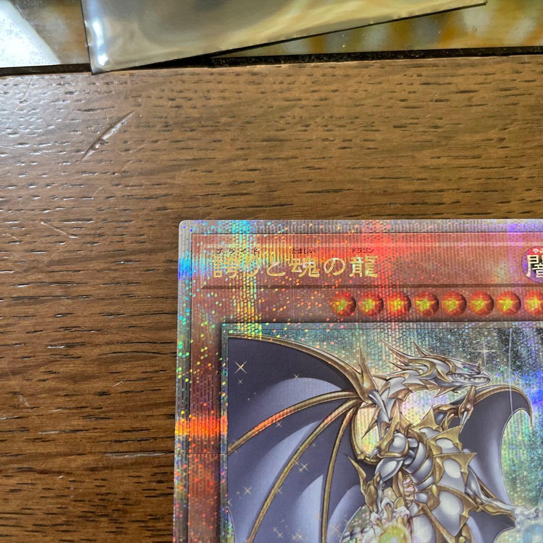 誇りと魂の龍　25th