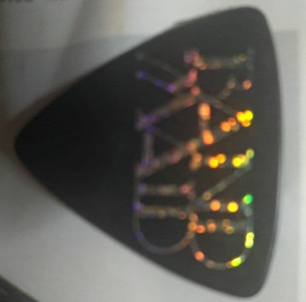 band-maid 小鳩ミク使用ピック