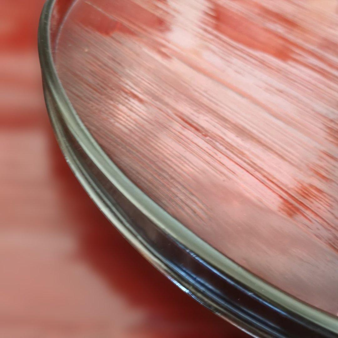 骨董　盆　お盆　丸盆　漆器　漆　お膳　お盆　5枚　木製　トレイ