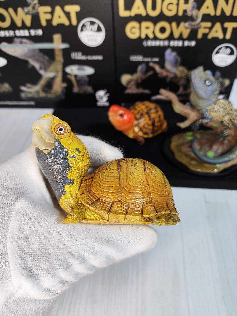 【動物の惑星】★上海展覧会限定ハコガメ2種類★ジオラマ第3、4弾! フィギュア