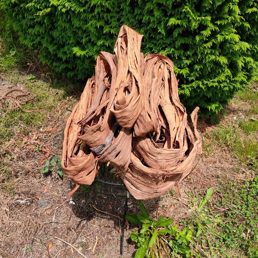 青森岩木山産 山葡萄 皮 樹皮 約3kg B品