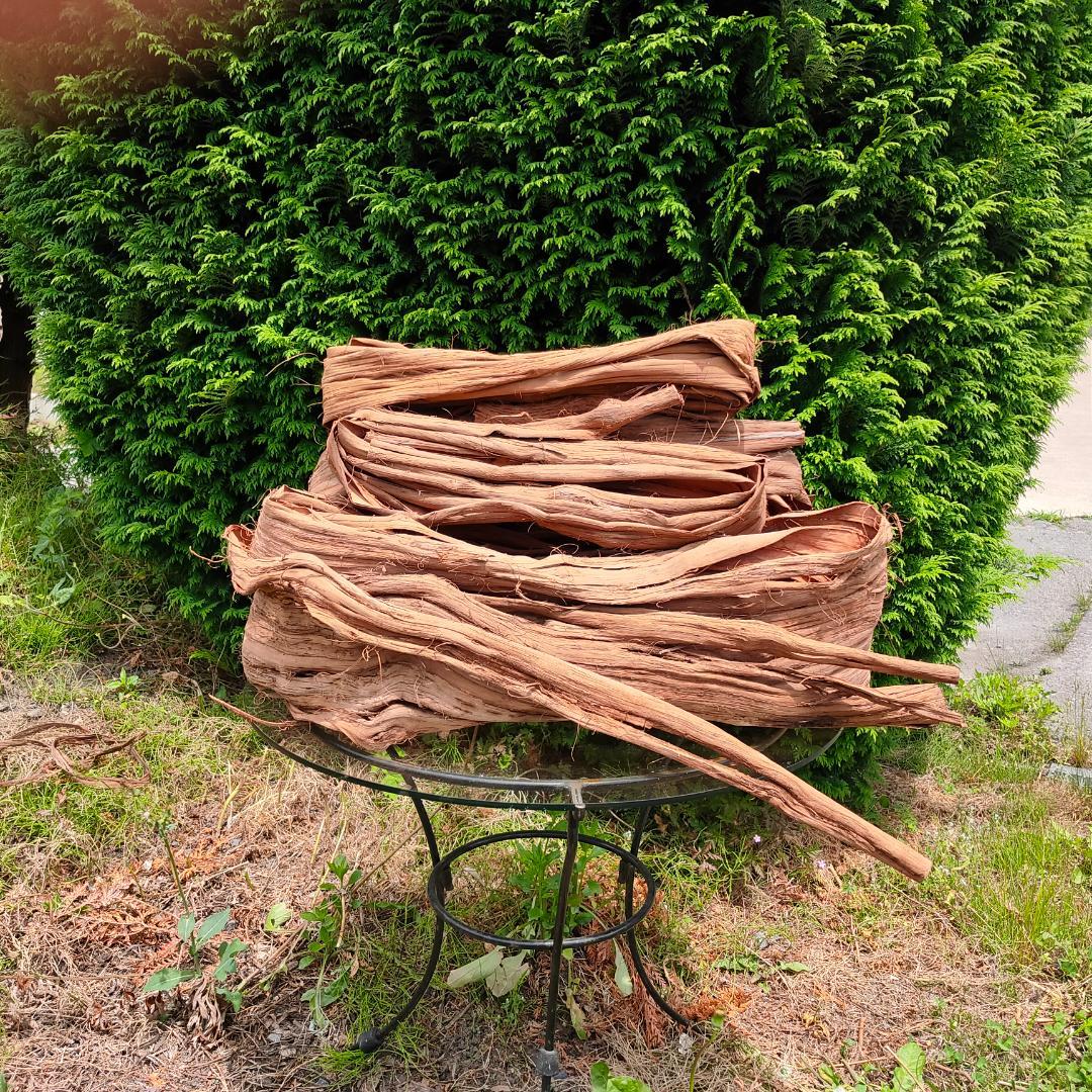 青森岩木山産 山葡萄 皮 樹皮 約3kg B品