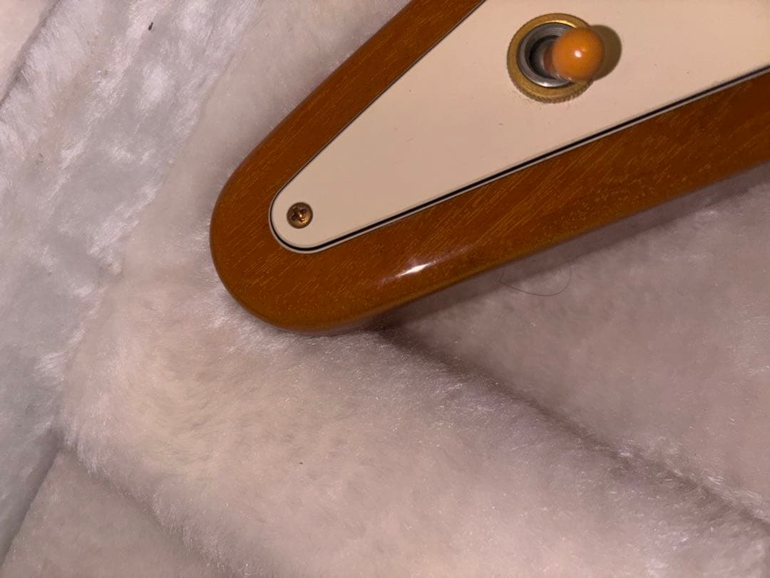 Gibson Reverse V（ギブソン リバースV）